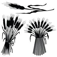 Vector silhouette of the bales hay