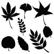 Vector silhouette of garden supplies