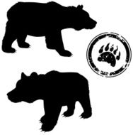 bear N52