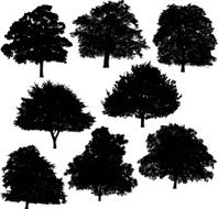 Tree silhouette collection 4