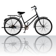 Bicycle Silhouette N4