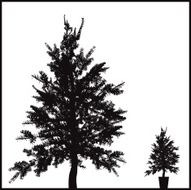 Xmastree silhouette