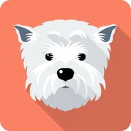 dog West Highland White Terrier icon flat design N2