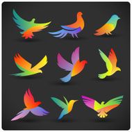 Set of colorful flying birds