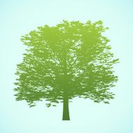 big tree silhouette N2