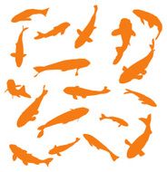 Gold fish to use in your design