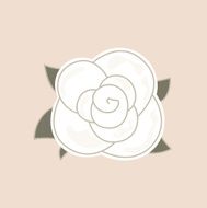 Beautiful vintage rose isolated on pale background N2