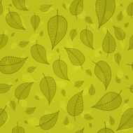 Skeletonized leaves on a green background vector N2