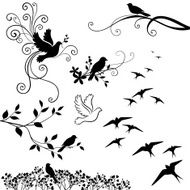 Birds N91
