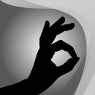 Vector silhouette of a hand N16