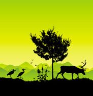 Wildlife in the country