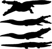 Crocodile and alligator silhouette set