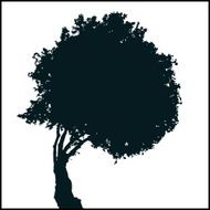 Tree Silhouette 05