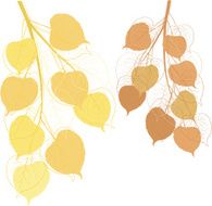 autumn leaves N66