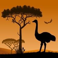 ostrich N9