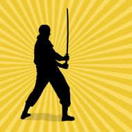 Ninja Master Silhouette