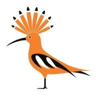 Hoopoe N4