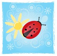 Lady bug with daisy