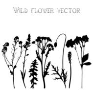 Set silhouettes of wild flowers vector N7