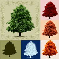 Tree N65