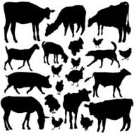 Farm Animals N54