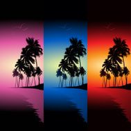 Beach and palms N2