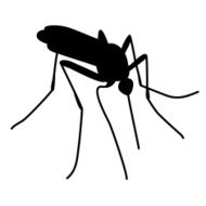 mosquitoe bite N2