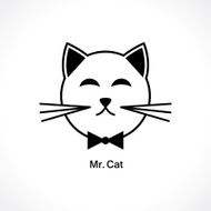 head of a cat N2