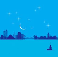Istanbul Silhouette