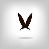 Image of an rabbit on white background