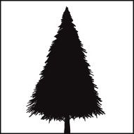 christmas tree N232