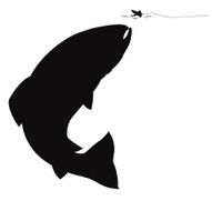 Trout Silhouette N2