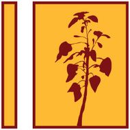 Plant Silhouette N12
