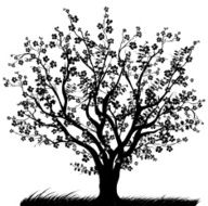 Cherry Tree in Full Bloom with Blossoms Black silhouette
