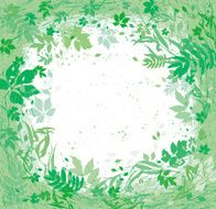 Various herbs and leaves flying around