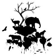 Animals N84