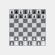 Chess Board N6