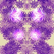 Seamless pattern with chrysanthemum flowers