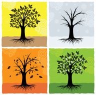 Tree in Four Seasons