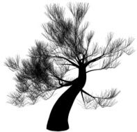 fantastic tree N7
