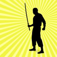 Dark Ninja Silhouette N2
