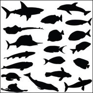 Collection of many fish and sea life silhouettes