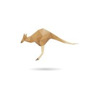 Kangaroo abstract isolated on a white backgrounds vector illustration
