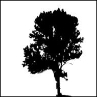 Tree Silhouette 06