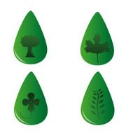 leaf N25