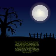 Halloween N285