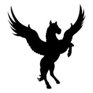 pegasus N4