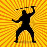Ninja Silhouette N4