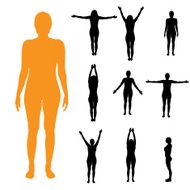 Vector silhouette of a woman N1384
