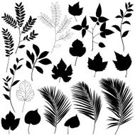 Leaf Elements with Palms